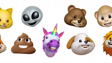 خطوات بسيطة تمكنك من إضافة رموز Animoji وMemoji أثناء مكالمات فيديو FaceTime مدونة نظام أون لاين التقنية