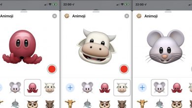 نظام تشغيل iOS 13 الجديد من آبل يحتوي على ثلاثة رموز Animoji جديدة مميزة مدونة نظام أون لاين التقنية