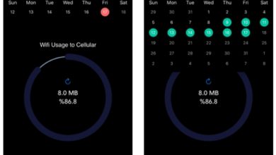 تطبيق Net Monitor