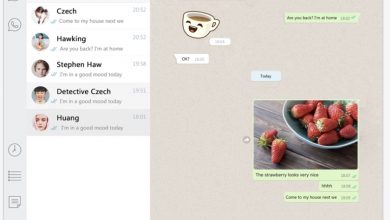 تطبيق Messenger for WhatsApp iPad